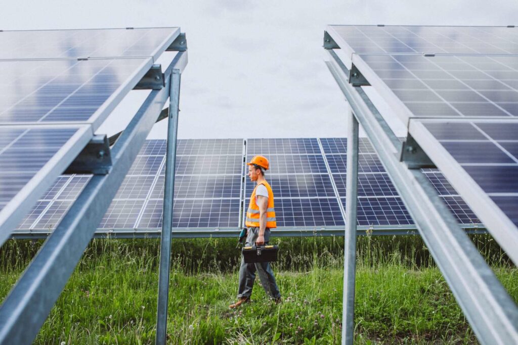 grands panneaux solaires dans la nature